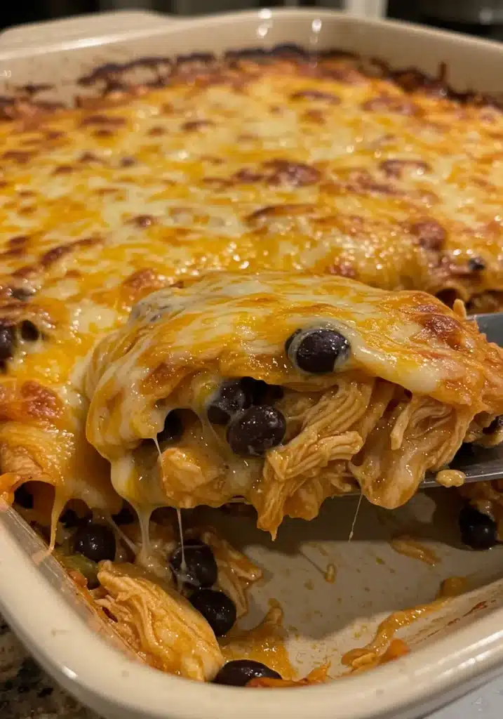 Chicken Enchilada