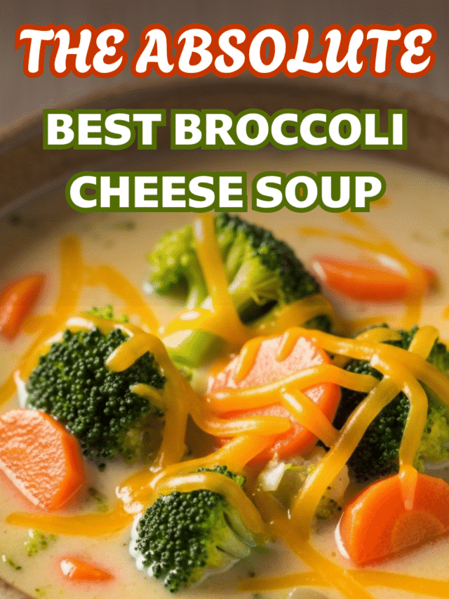 The Absolute Best Broccoli Cheese Soup